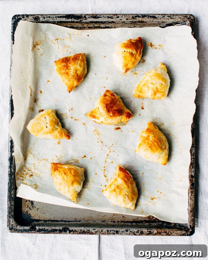 Effortless Flaky Samosas 10 Freshly baked golden-brown flaky shortcut samosas presented on a wire rack, cooling slightly and emitting delicious aromas.