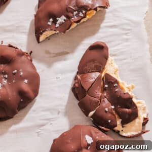 Frozen yogurt bites with peanut butter greek yogurt filling.