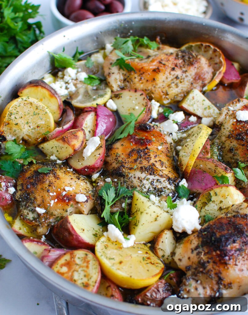 Zesty Greek Lemon Chicken 2 Greek Lemon Chicken in a skillet