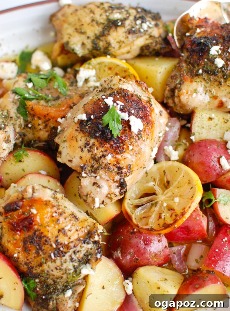 Zesty Greek Lemon Chicken 3 Greek Lemon Chicken close-up