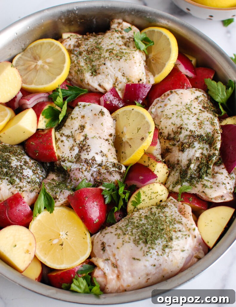 Zesty Greek Lemon Chicken 5 Greek Lemon Chicken raw chicken