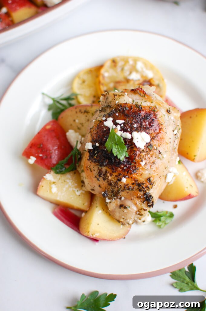 Zesty Greek Lemon Chicken 6 Greek Lemon Chicken on plate