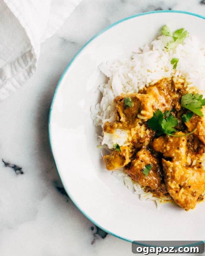 Fiery Goan Pork Vindaloo 2 Homemade Pork Vindaloo Curry on a white plate with rice, garnished with fresh cilantro.