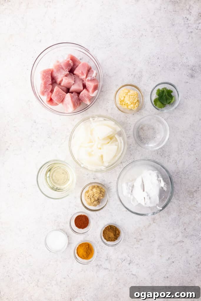 Fiery Goan Pork Vindaloo 3 Ingredients laid out for preparing Pork Vindaloo Curry, including onions, garlic, spices, vinegar, mustard, and pork chops.