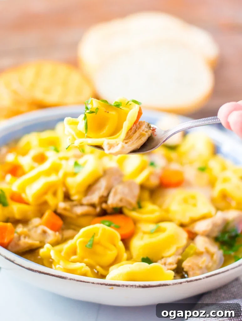 Chicken Tortellini Soup in a bowl with a spoon, ready to eat