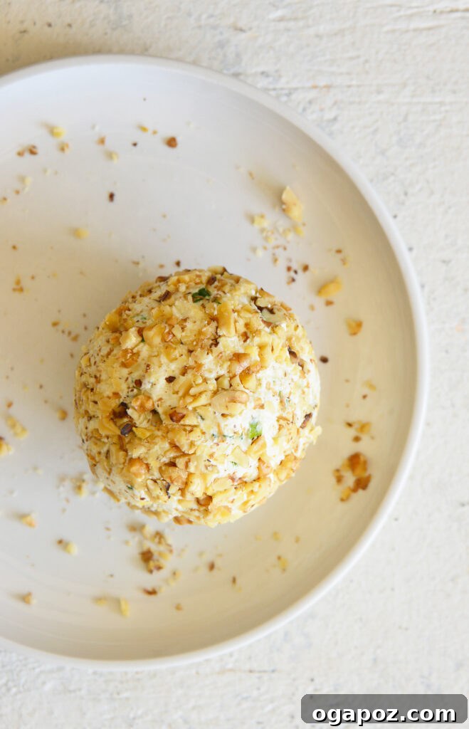 Your Guide to an Irresistible Cheese Ball 8 A cheese ball being rolled in finely chopped walnuts on a plate, demonstrating the final coating step before serving.