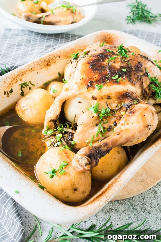 Golden Roasted Chicken with Crispy Herb Potatoes 2 Perfectly roasted whole chicken with crispy golden-brown skin and tender potatoes in a large roasting pan