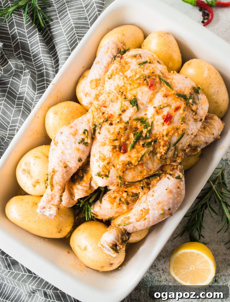 Golden Roasted Chicken with Crispy Herb Potatoes 6 Whole raw chicken and raw potatoes arranged in a roasting pan, ready for the oven with liquids poured around them