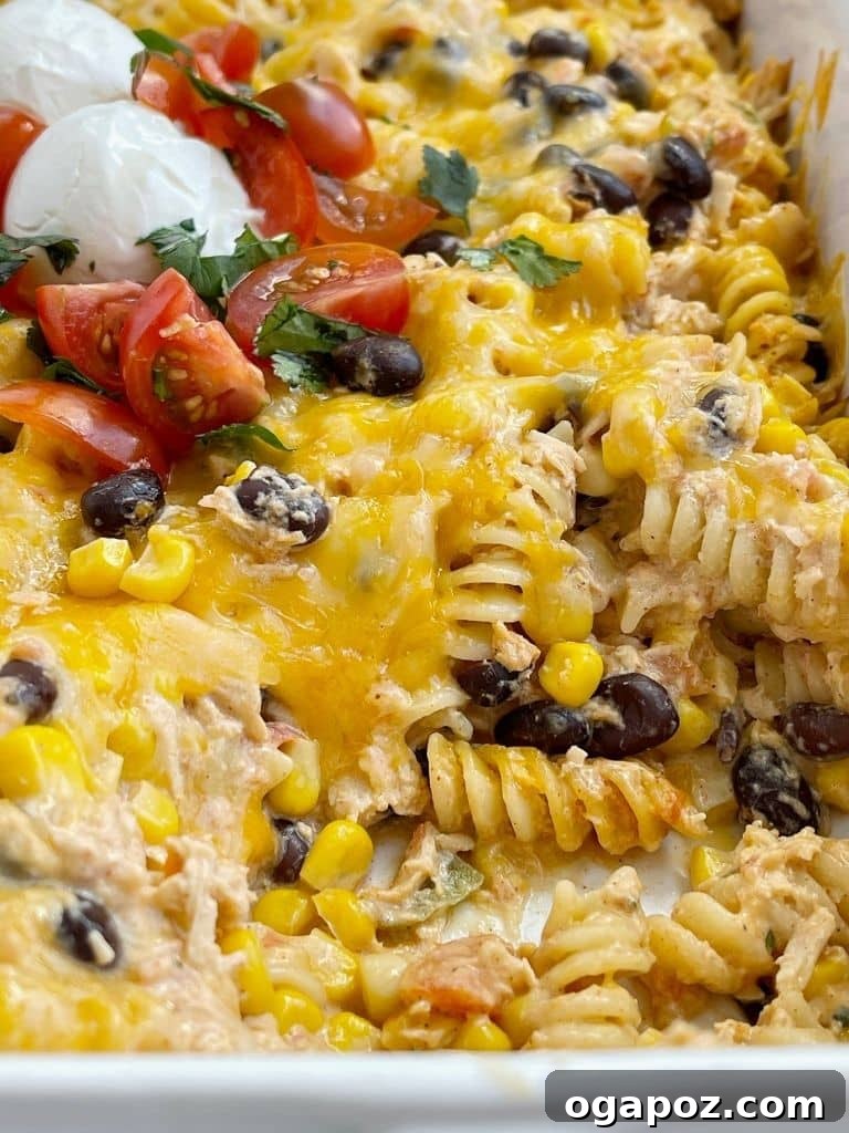 Chicken Pasta Bake Recipes You'll Crave Weekly 14 Fiesta Chicken Bake