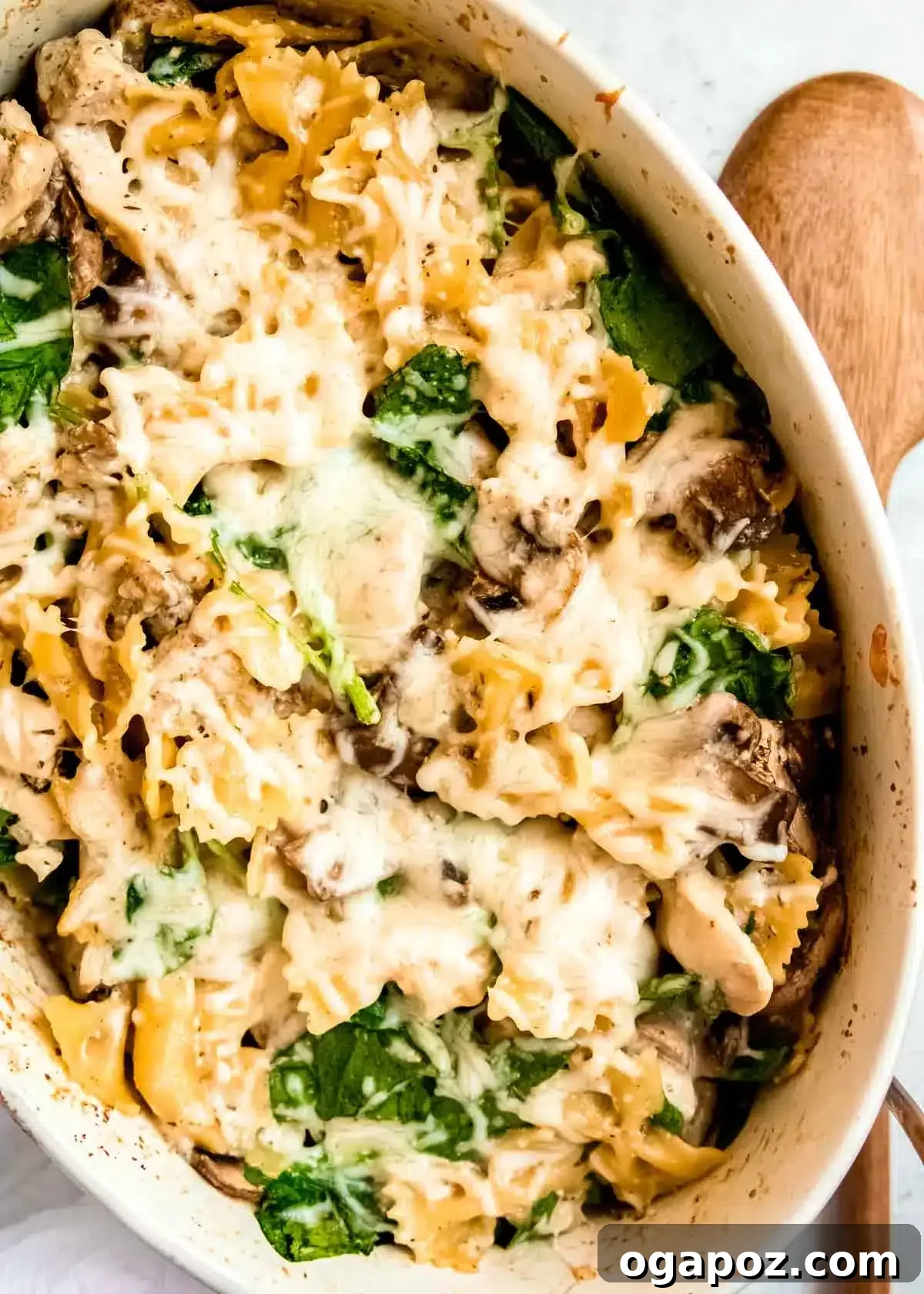 Chicken Pasta Bake Recipes You'll Crave Weekly 16 Chicken and Mushroom Pasta Bake