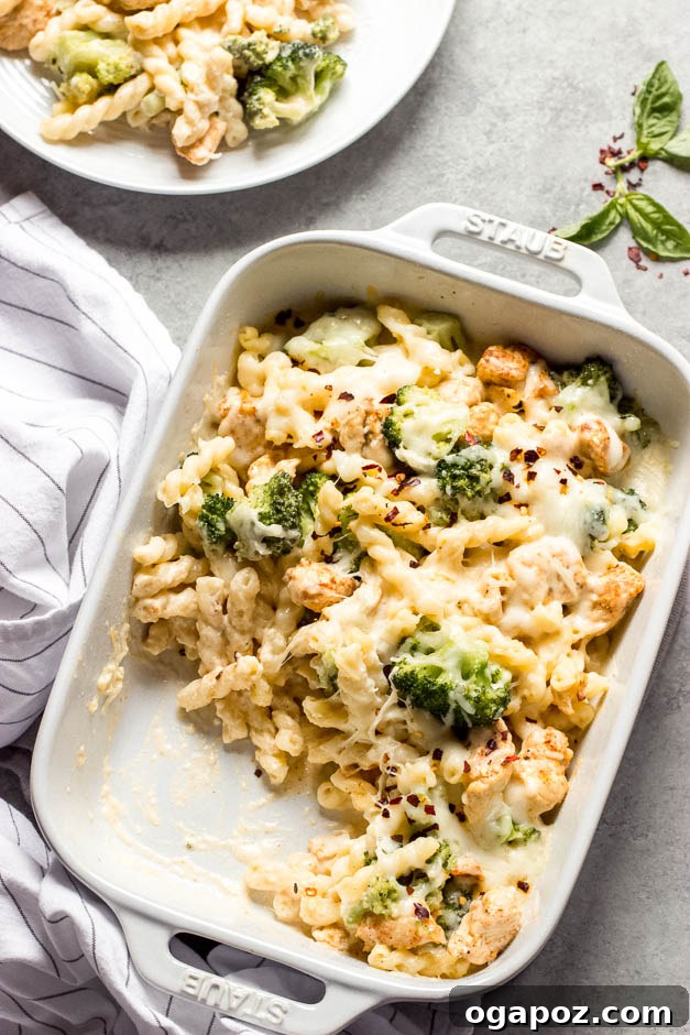 Chicken Pasta Bake Recipes You'll Crave Weekly 3 Chicken Broccoli Pasta Bake