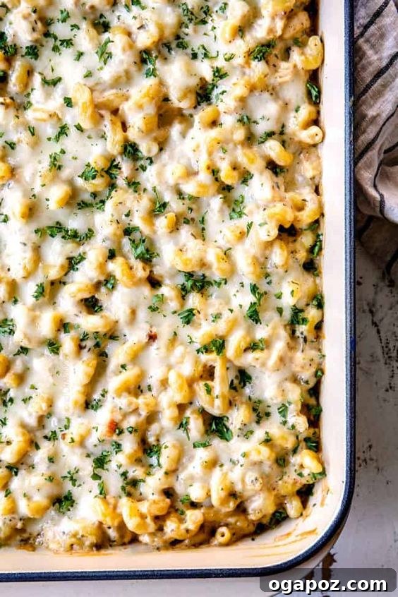Chicken Pasta Bake Recipes You'll Crave Weekly 6 Baked Chicken Pasta Alfredo