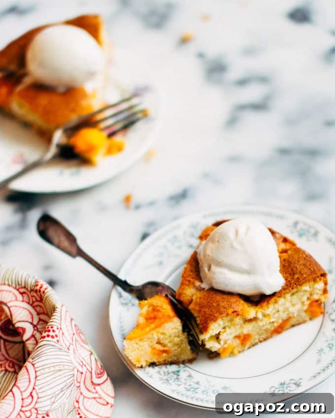 Golden Apricot Buttermilk Dream 2 Deliciously moist Buttermilk Apricot Cake, freshly baked and topped with ripe apricot halves, ready to be served.
