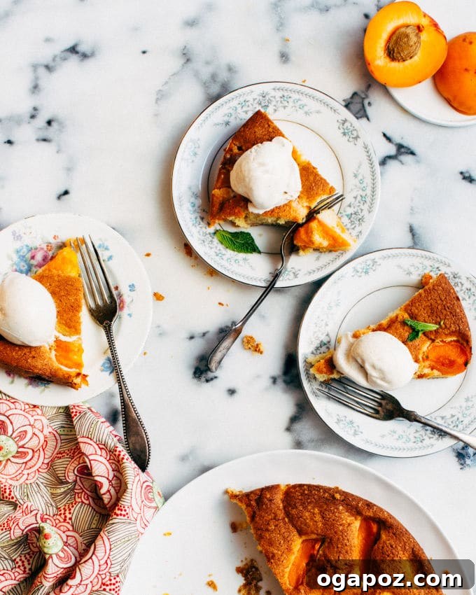 Golden Apricot Buttermilk Dream 5 Another enticing image of the Buttermilk Apricot Cake, perhaps a different angle or a serving portion.