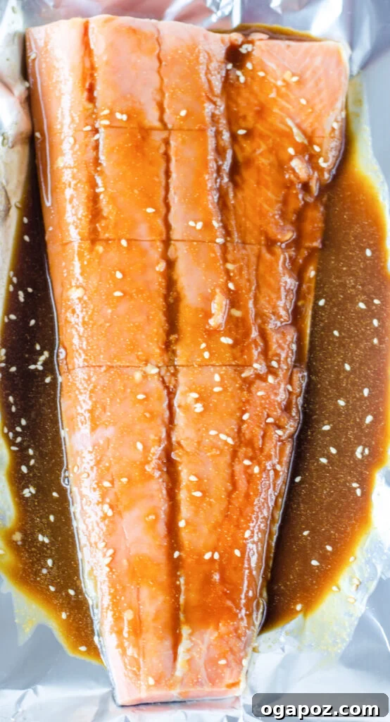 Salmon Fillets Marinating in Homemade Teriyaki Sauce Teriyaki Salmon Recipe raw with marinade
