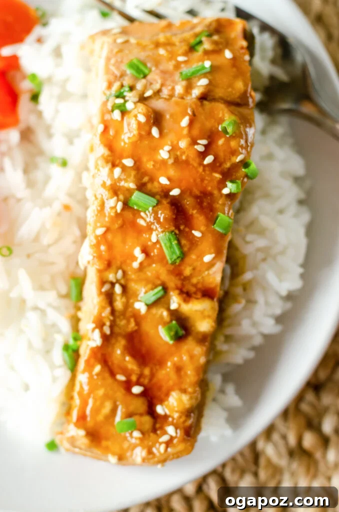 Teriyaki Salmon Served with Fluffy White Rice Teriyaki Salmon Recipe with rice