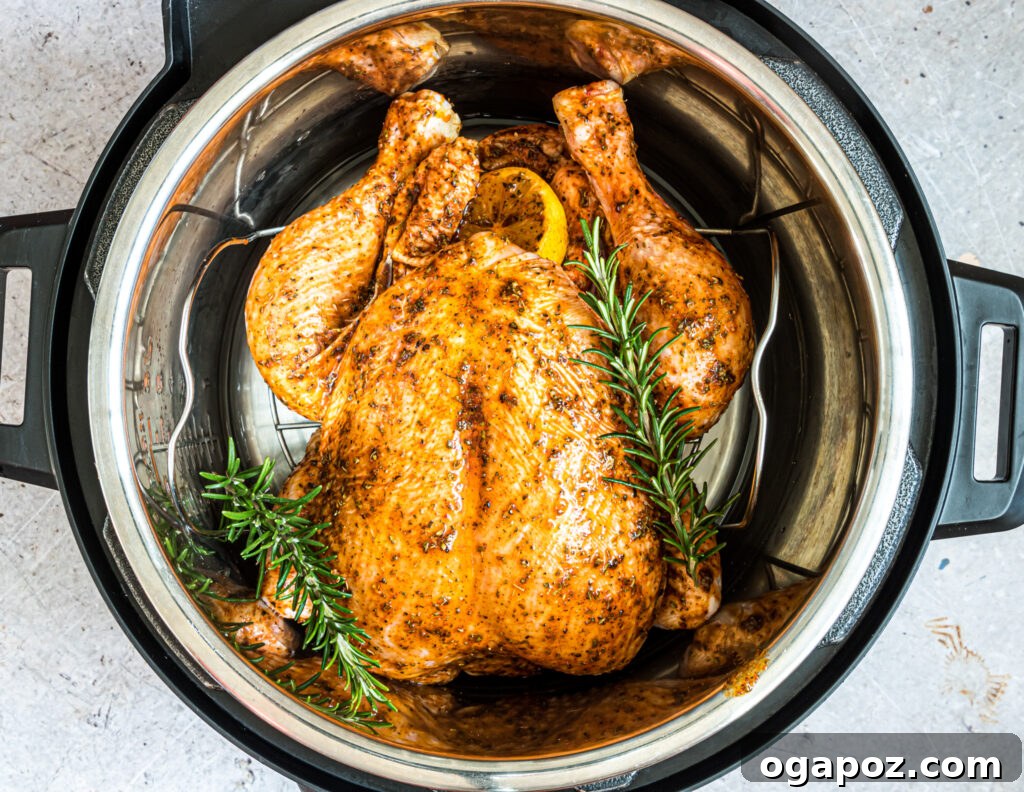 Succulent Instant Pot Rotisserie Chicken 6 Instant Pot with whole chicken placed inside on a trivet