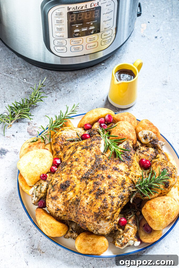 Succulent Instant Pot Rotisserie Chicken 8 Instant Pot with a cooked whole chicken on a trivet, ready to be removed