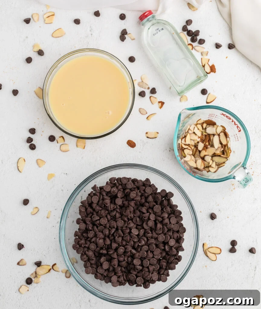 Effortless Chocolate Fudge 4 Four simple ingredients for Easy Chocolate Fudge: a bowl of chocolate chips, a can of condensed milk, a bottle of almond extract, and a small dish of slivered almonds