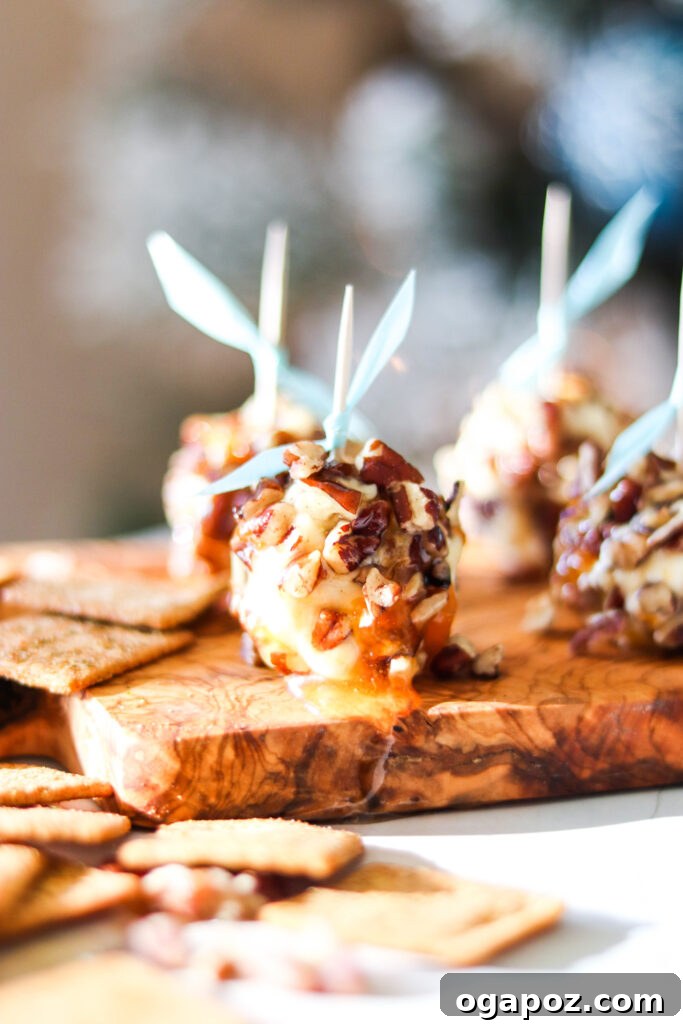 Honey-Kissed Goat Cheese Delights 2 Honey Goat Cheese Balls with toothpicks
