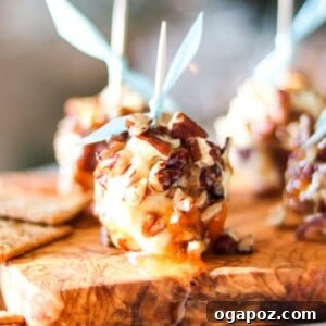 Honey Goat Cheese Balls 1200 x 1200