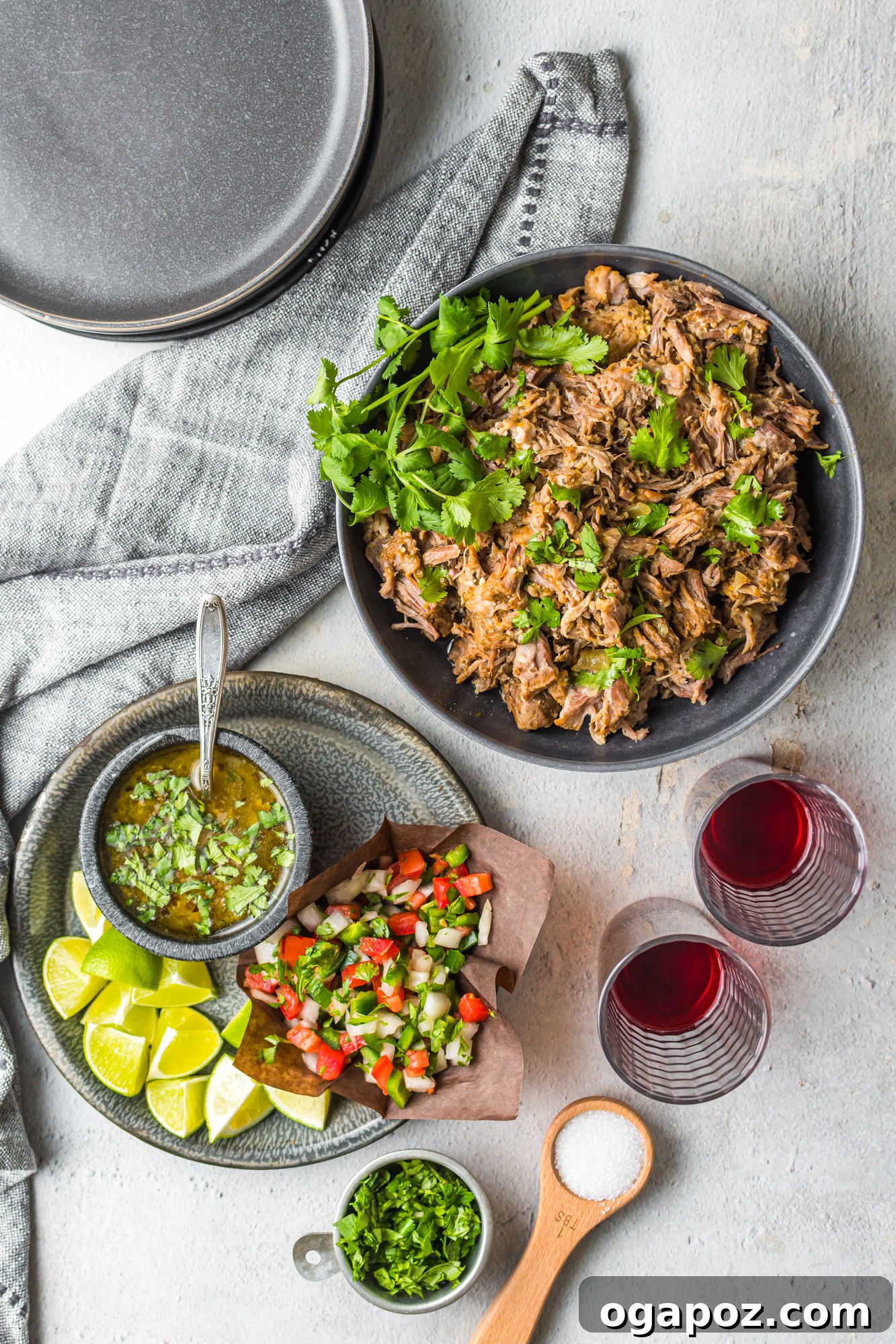Instant Pot Pork Perfection 11 Instant Pot Pork Roast with salsa