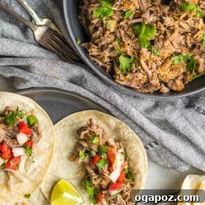 Instant Pot Pork Perfection 12 Instant Pot Pork Roast 1200 x 1200