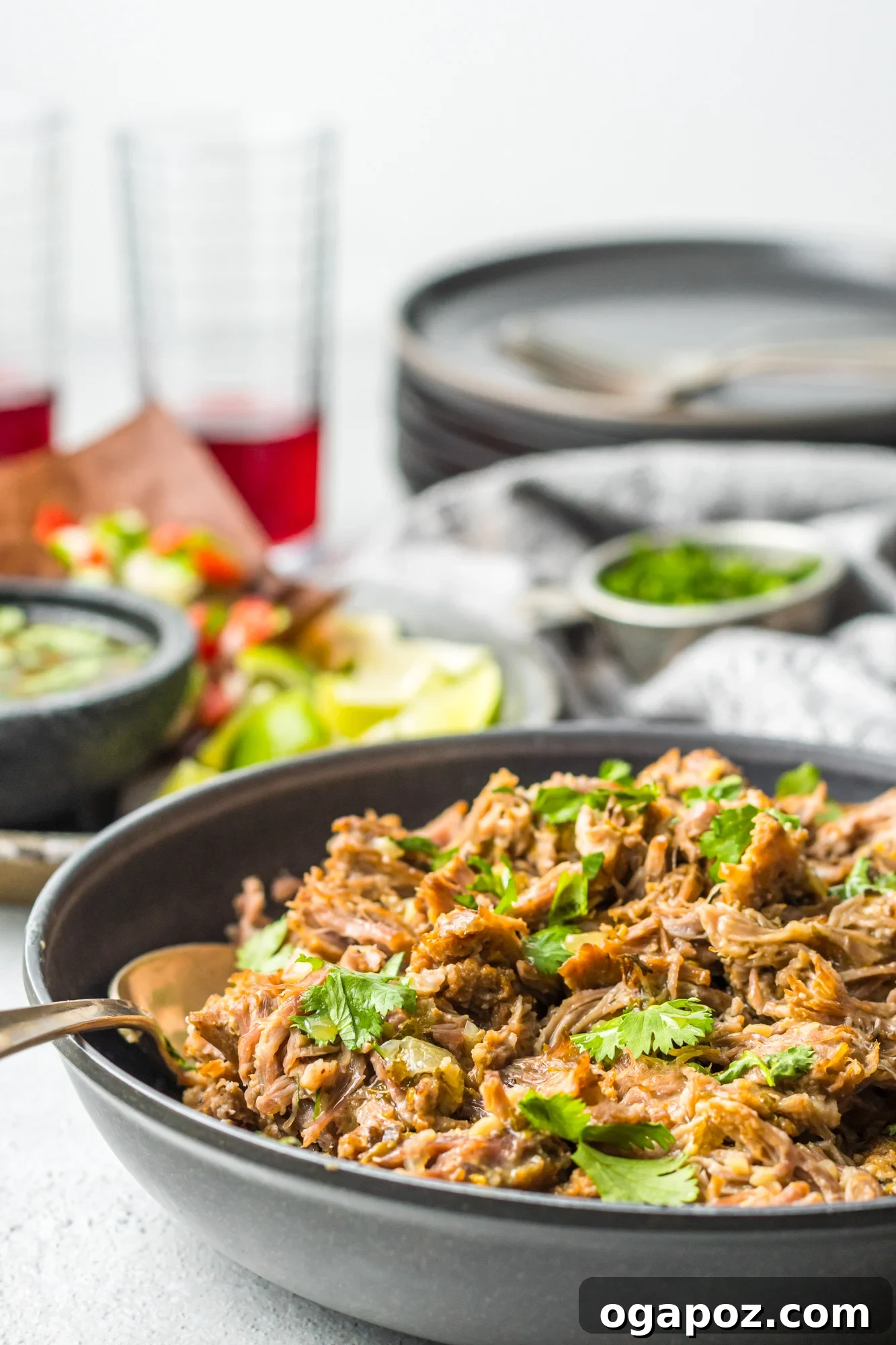 Instant Pot Pork Perfection 3 Instant Pot Pork Roast with spoon