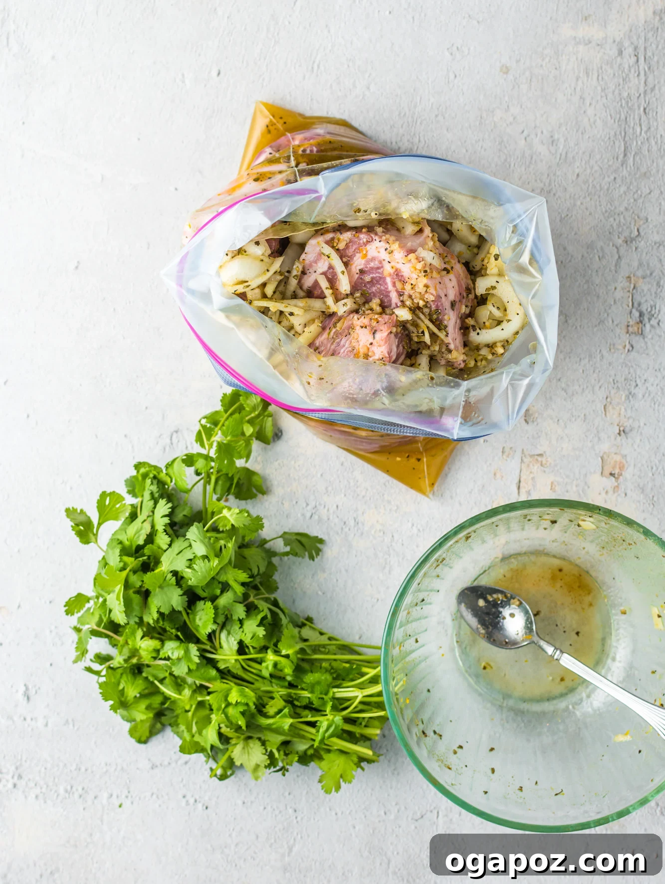 Instant Pot Pork Perfection 5 Instant Pot Pork Roast with bag of pork