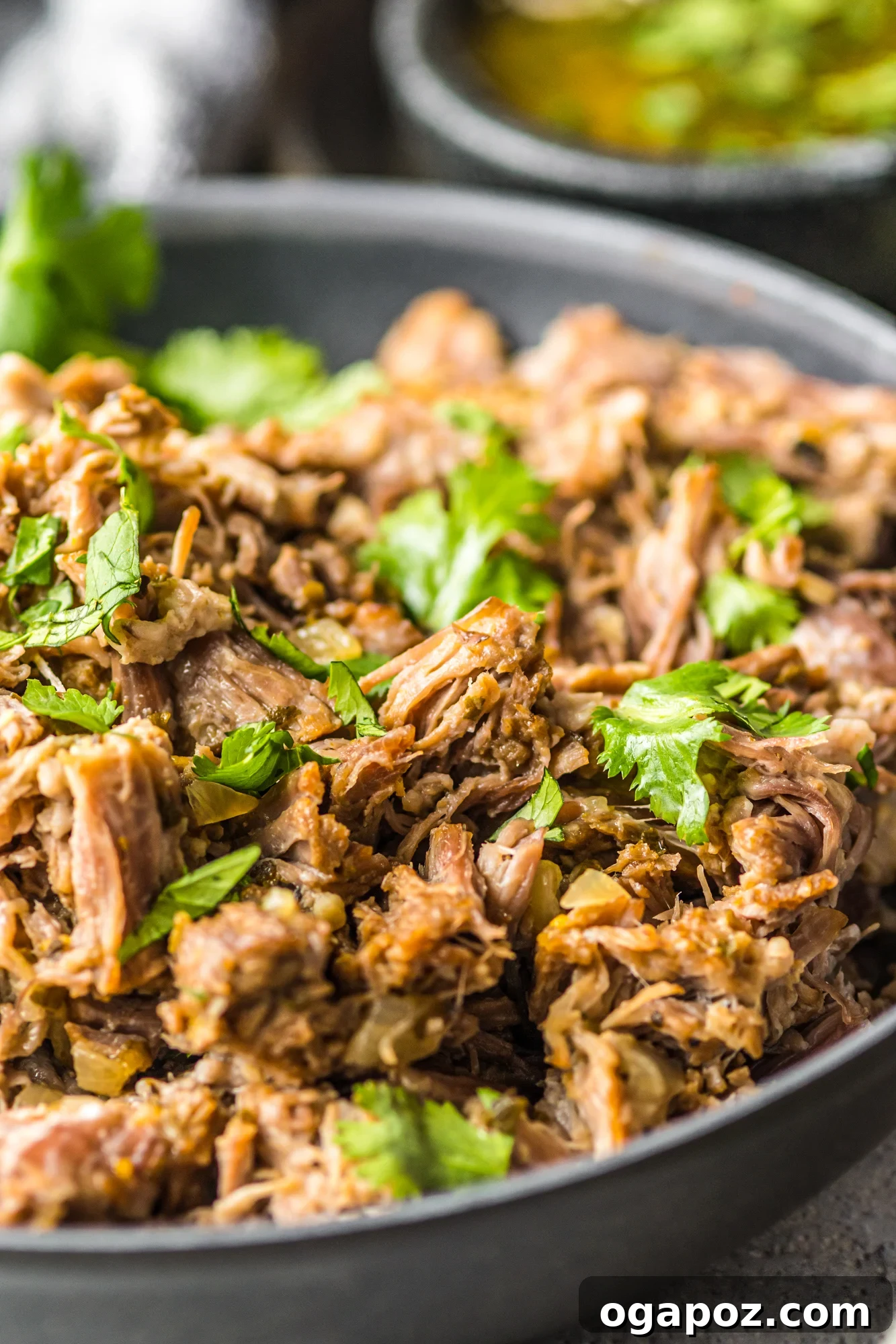 Instant Pot Pork Perfection 10 Instant Pot Pork Roast up close