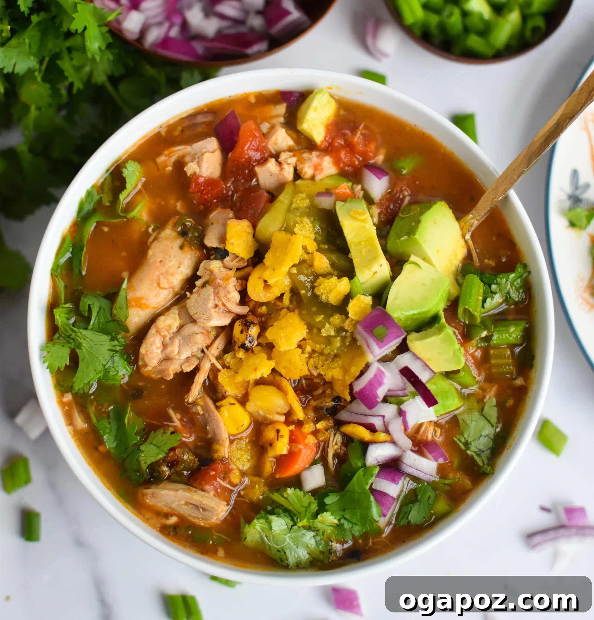 Southwestern Green Chili Chicken Soup 2 Green Chili Chicken Soup with avocado and fresh herbs