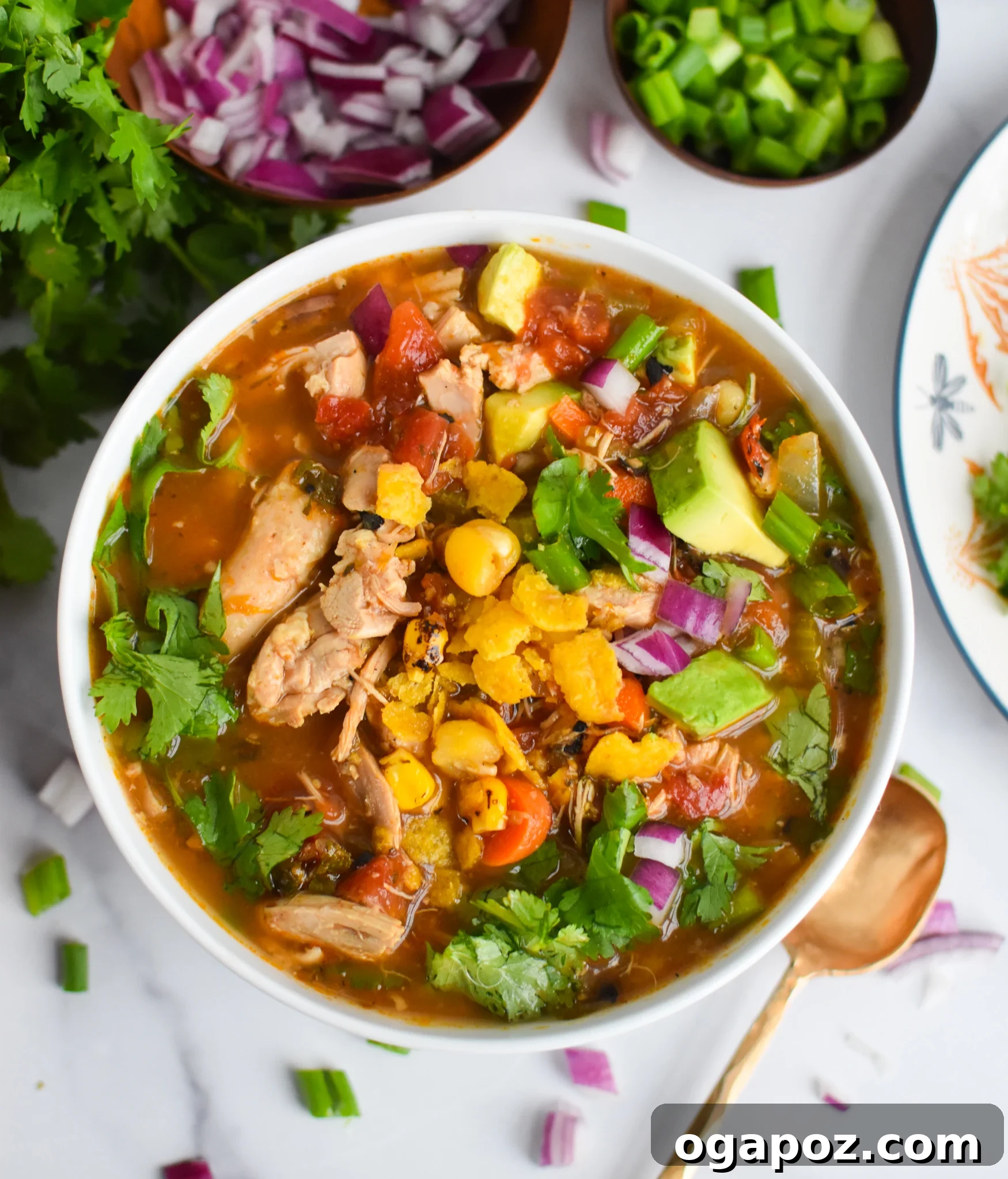 Southwestern Green Chili Chicken Soup 4 Green Chili Chicken Soup in a white bowl ready to be served