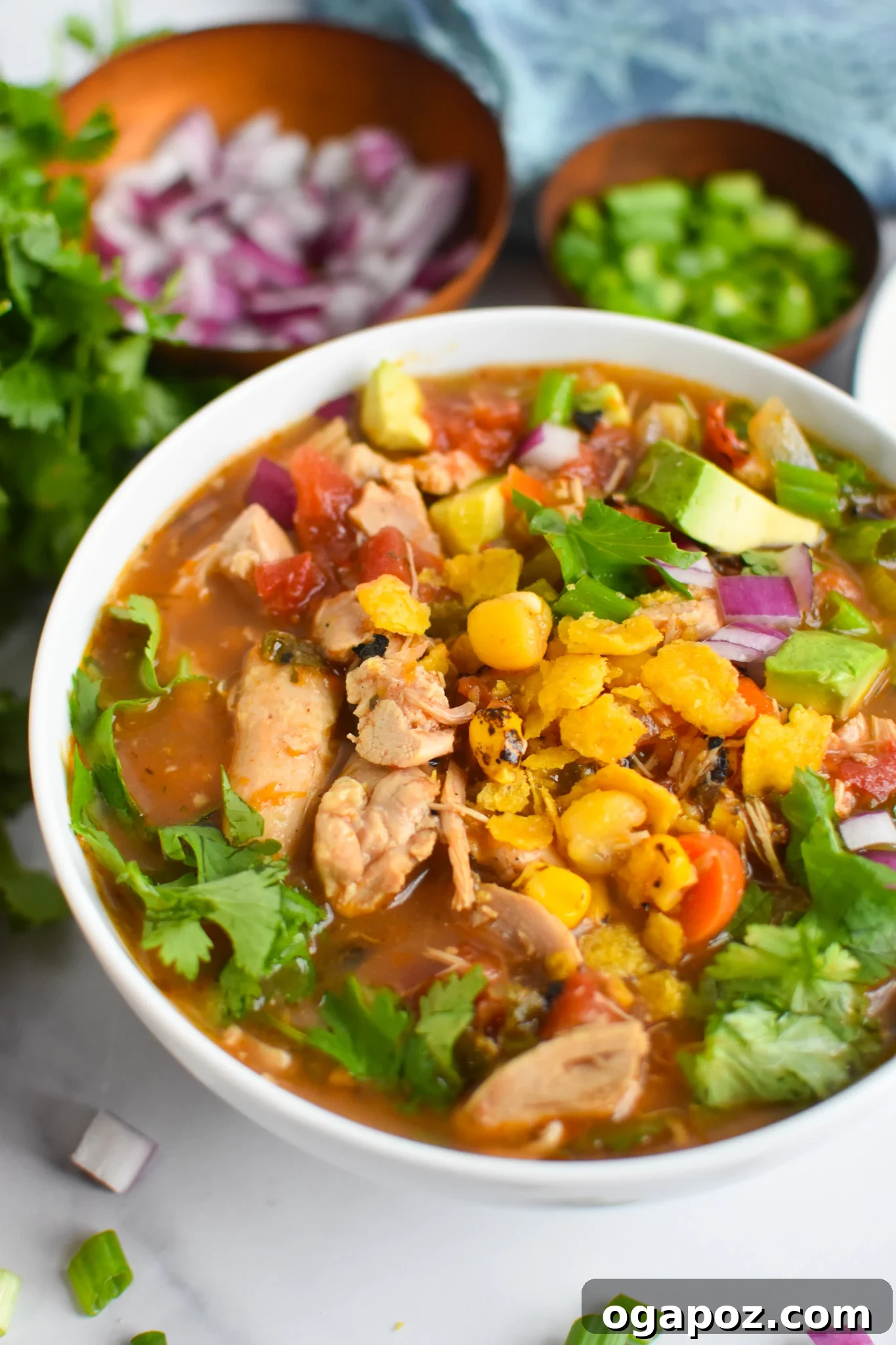 Southwestern Green Chili Chicken Soup 5 Green Chili Chicken Soup garnished with fresh green onion