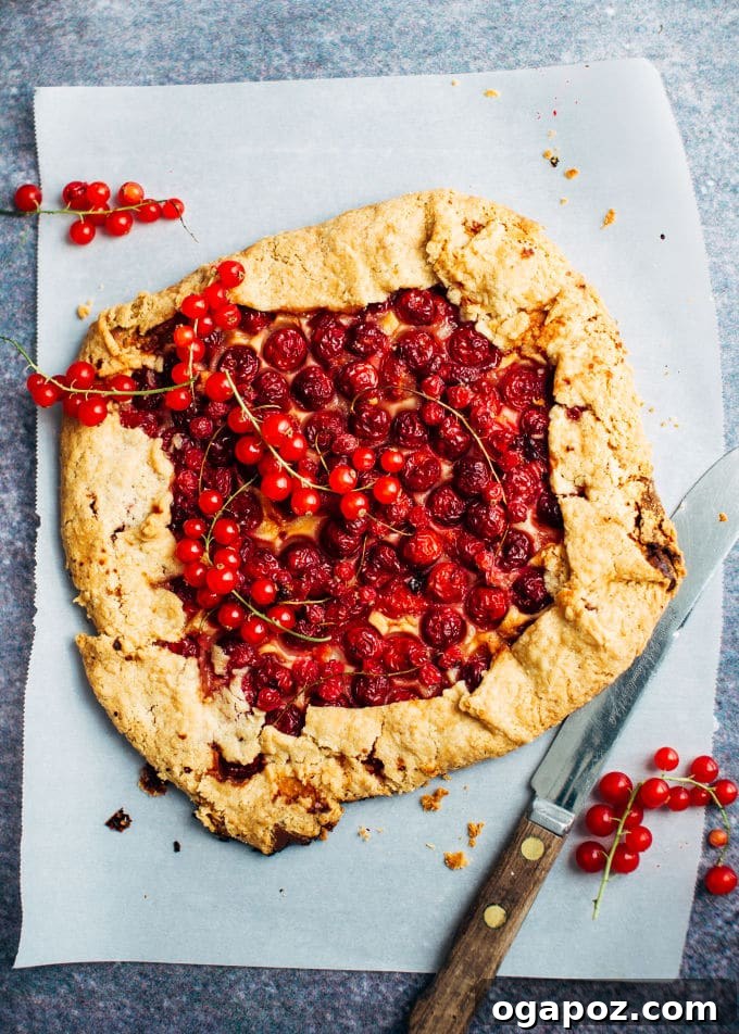 Toasted Almond Cherry Galette 3 A close-up of a slice of cherry almond galette, revealing the rich, bubbly cherry filling and the creamy frangipane layer beneath the golden crust.