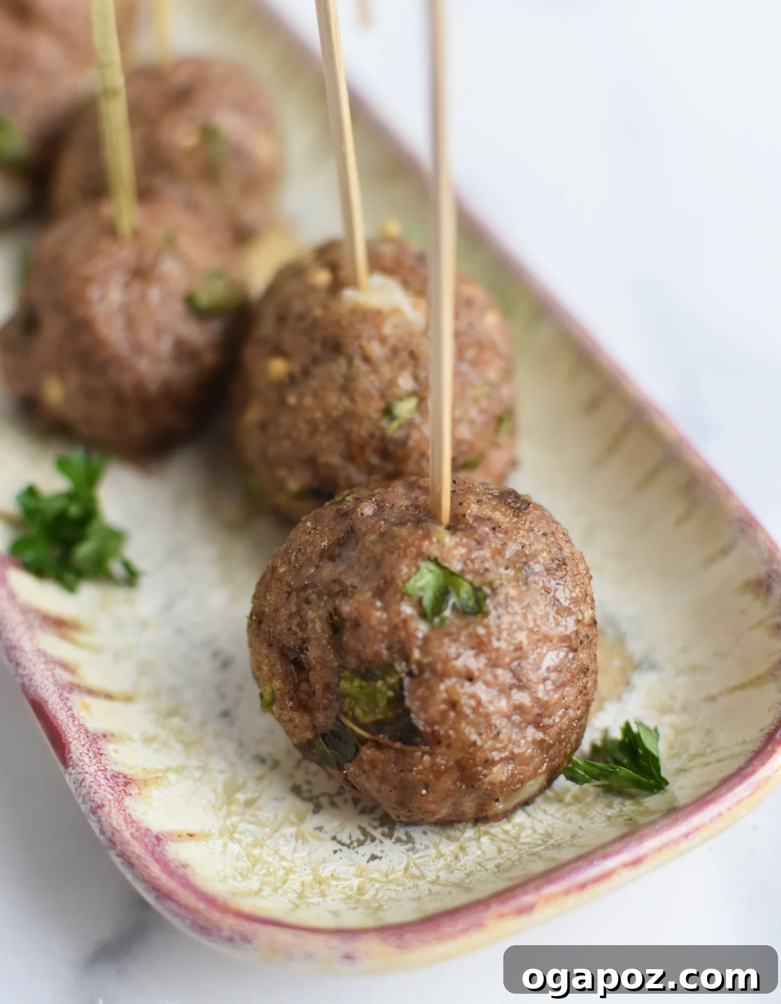 Spiced Lamb Kofta 9 Appetizer platter of Lamb Kofta, garnished with fresh herbs and served with toothpicks for easy enjoyment.