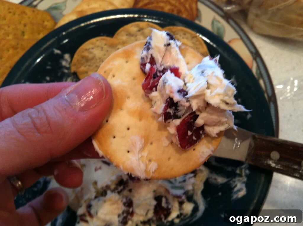 Homemade Rosemary Cranberry Dip Rosemary Cranberry Spread and dip presented beautifully