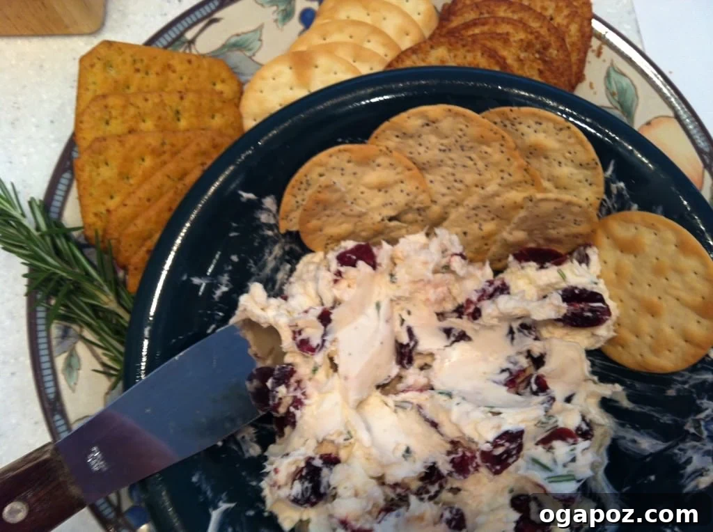 Mixed Rosemary Cranberry Spread Rosemary Cranberry Spread appetizer mixed and ready