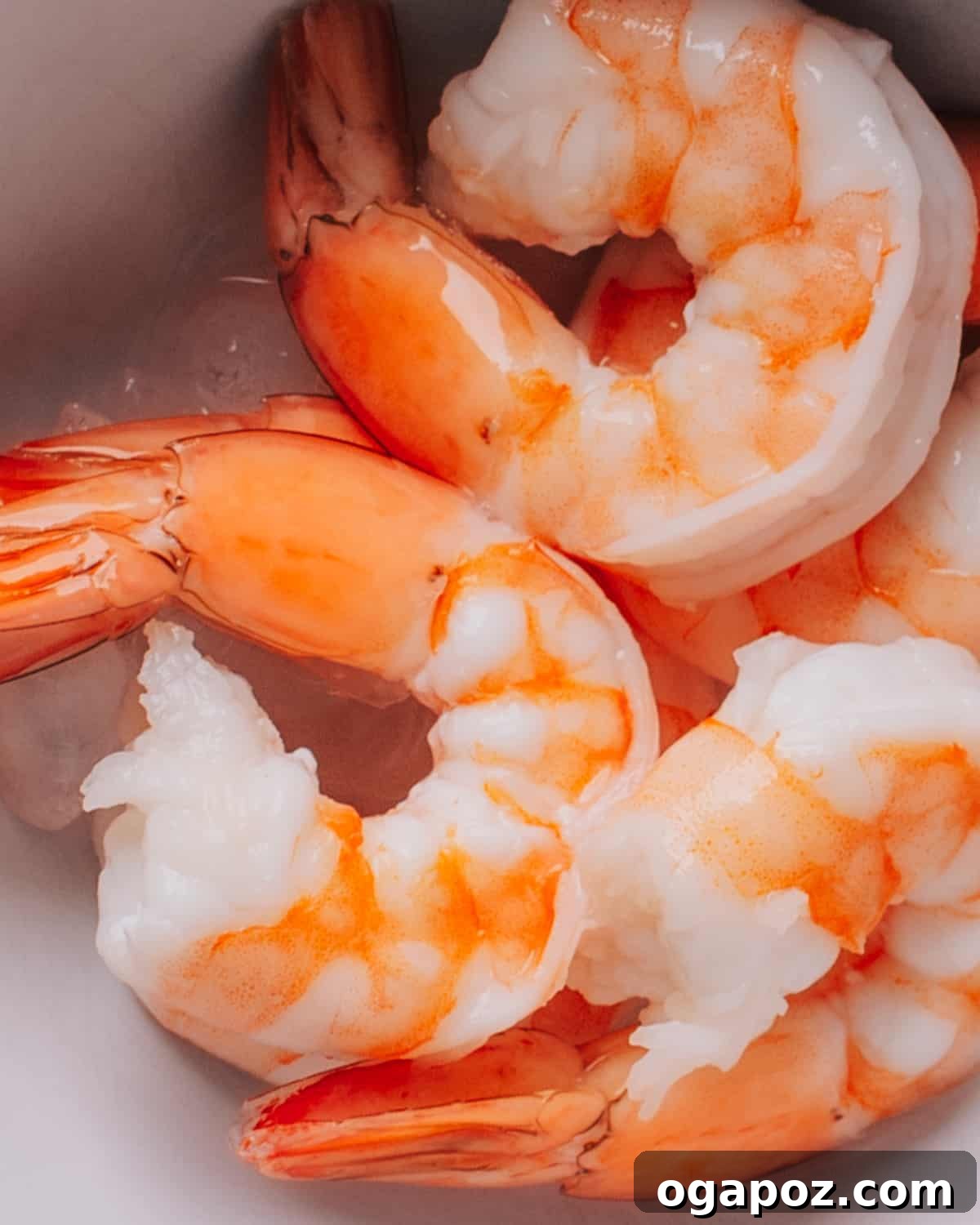 Fiery Lime Shrimp Aguachiles 3 Cooked Shrimp in a bowl, ready for aguachiles preparation.