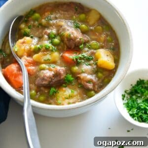 Instant Pot Beef Stew Recipe 1200 x 1200, a top-down view of the finished dish