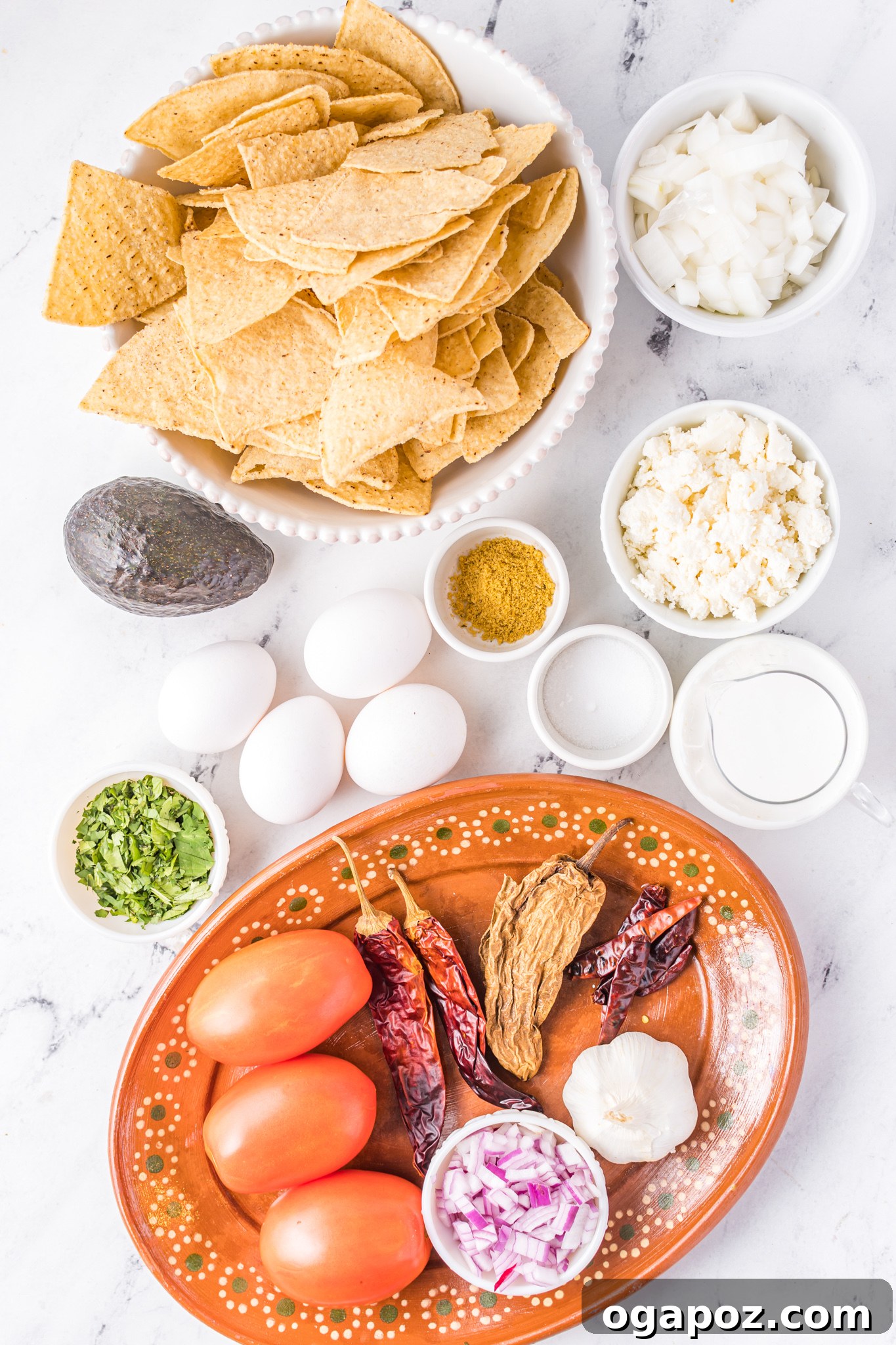 Authentic Mexican Chilaquiles Rojos 3 A flat lay image showing fresh ingredients for Chilaquiles Rojos recipe, including dried chiles, Roma tomatoes, onions, garlic, and tortilla chips.