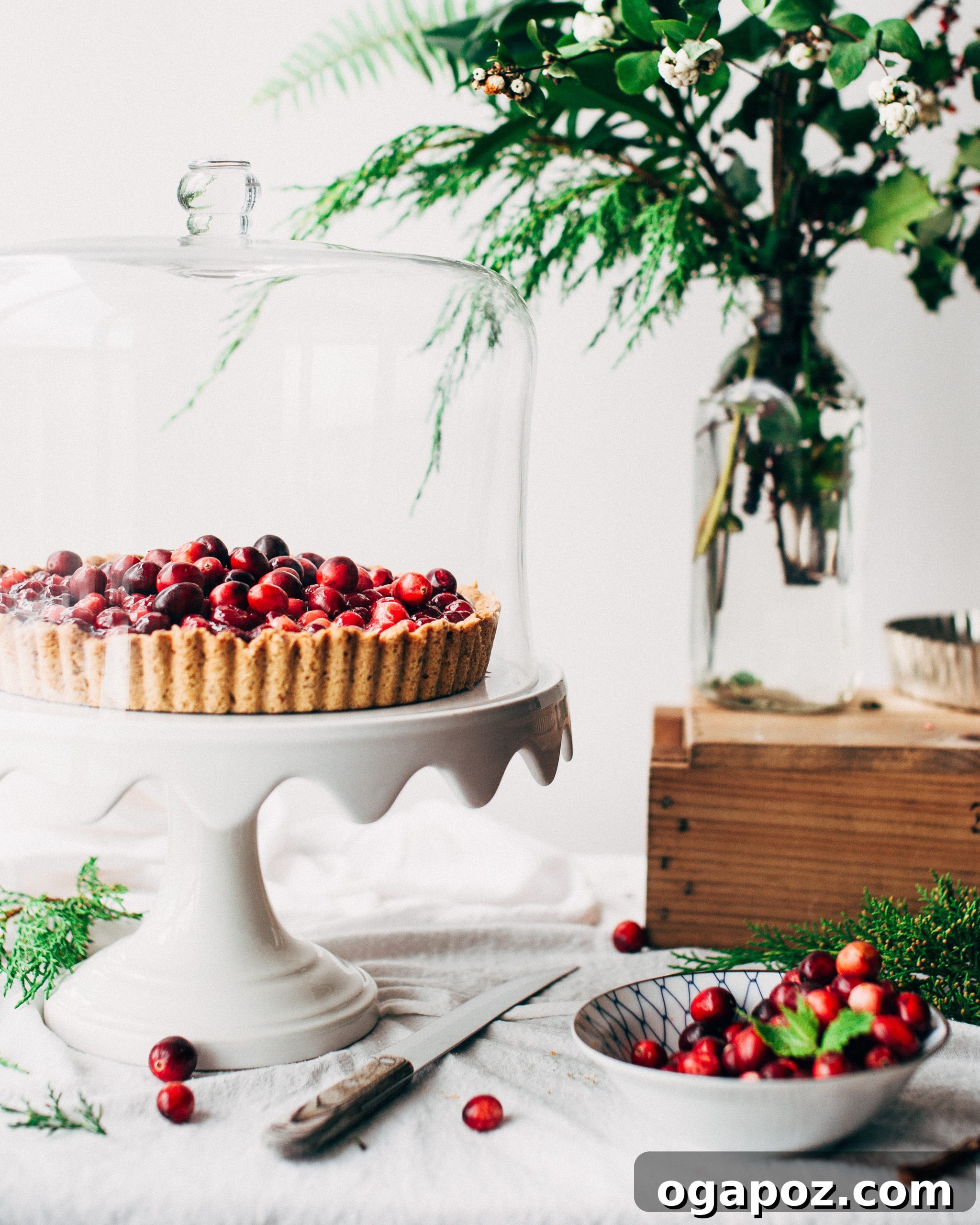 Beautifully baked Nut-Crusted Cranberry Tart, golden brown crust with vibrant red cranberry filling.