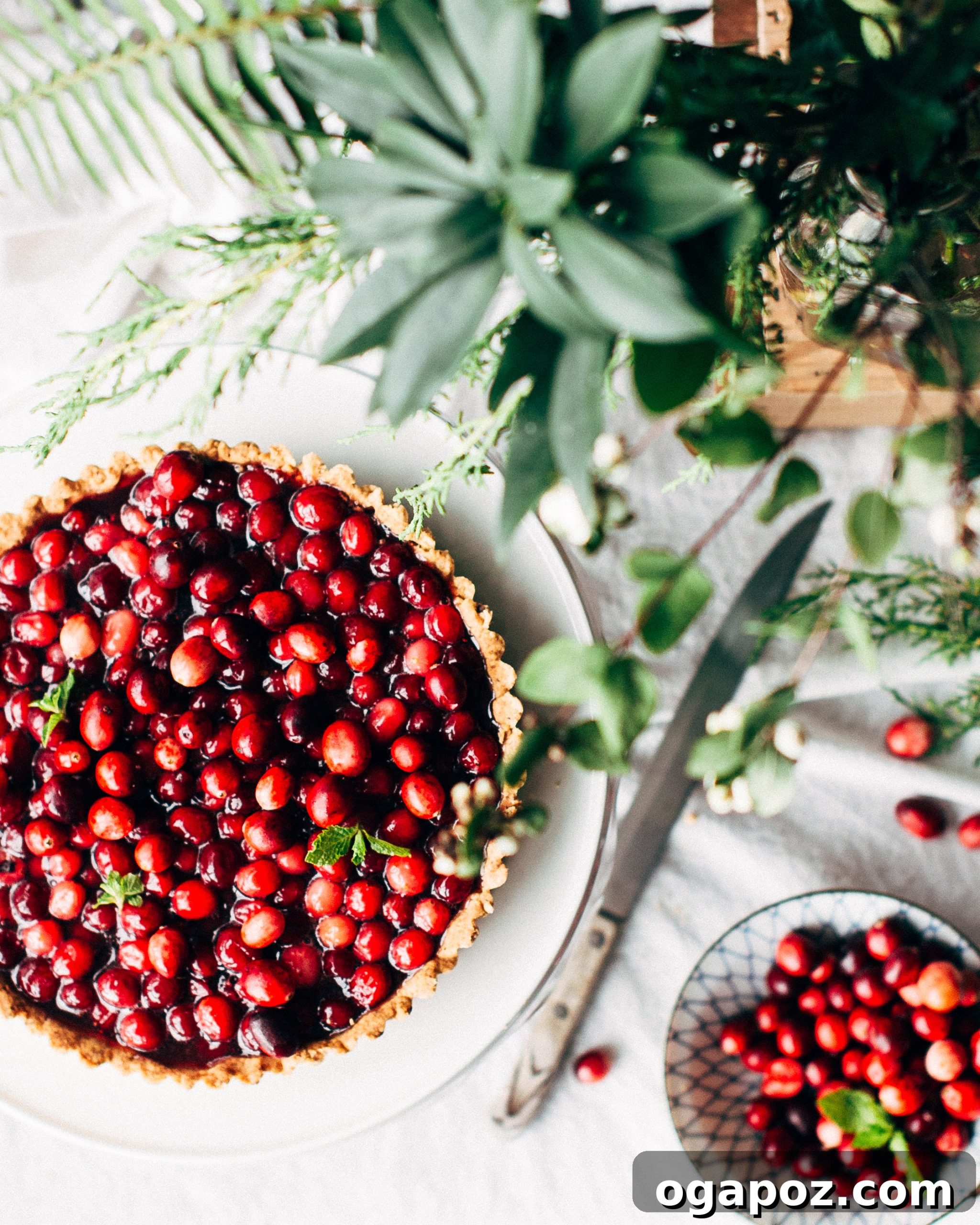 Nut-Crusted Cranberry Tart, garnished with fresh cranberries and a sprig of mint, ready to be served.