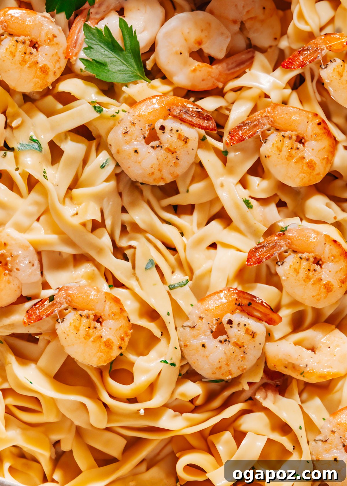 Zesty Lemon Cream Shrimp Pasta 3 Close-up photo of lemon garlic shrimp pasta, showcasing the perfectly cooked shrimp and luscious cream sauce.