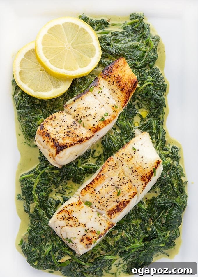 Halibut Perfection: Recipes You'll Adore 14 Expertly pan-seared halibut served over a bed of creamy spinach, a quick and elegant seafood dinner.
