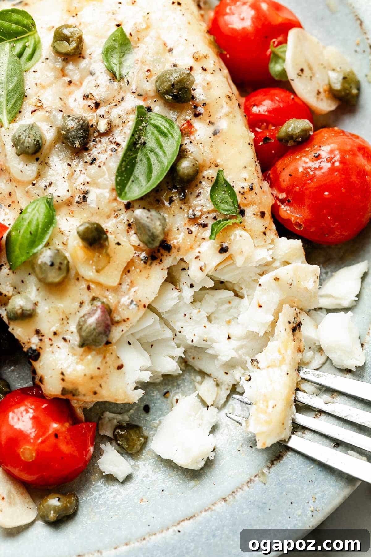 Halibut Perfection: Recipes You'll Adore 9 White wine steamed fish with vibrant burst tomatoes, a healthy and quick one-pan meal.