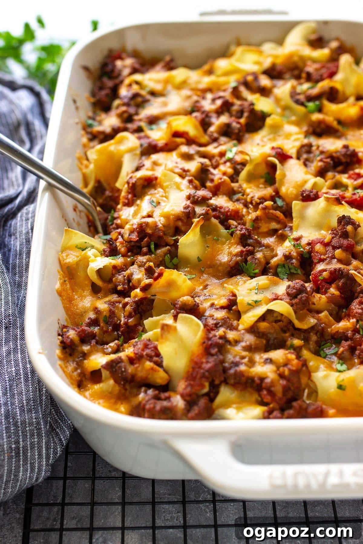 Ground Beef Casseroles You'll Actually Love 16 Sour Cream Beef Noodle Casserole