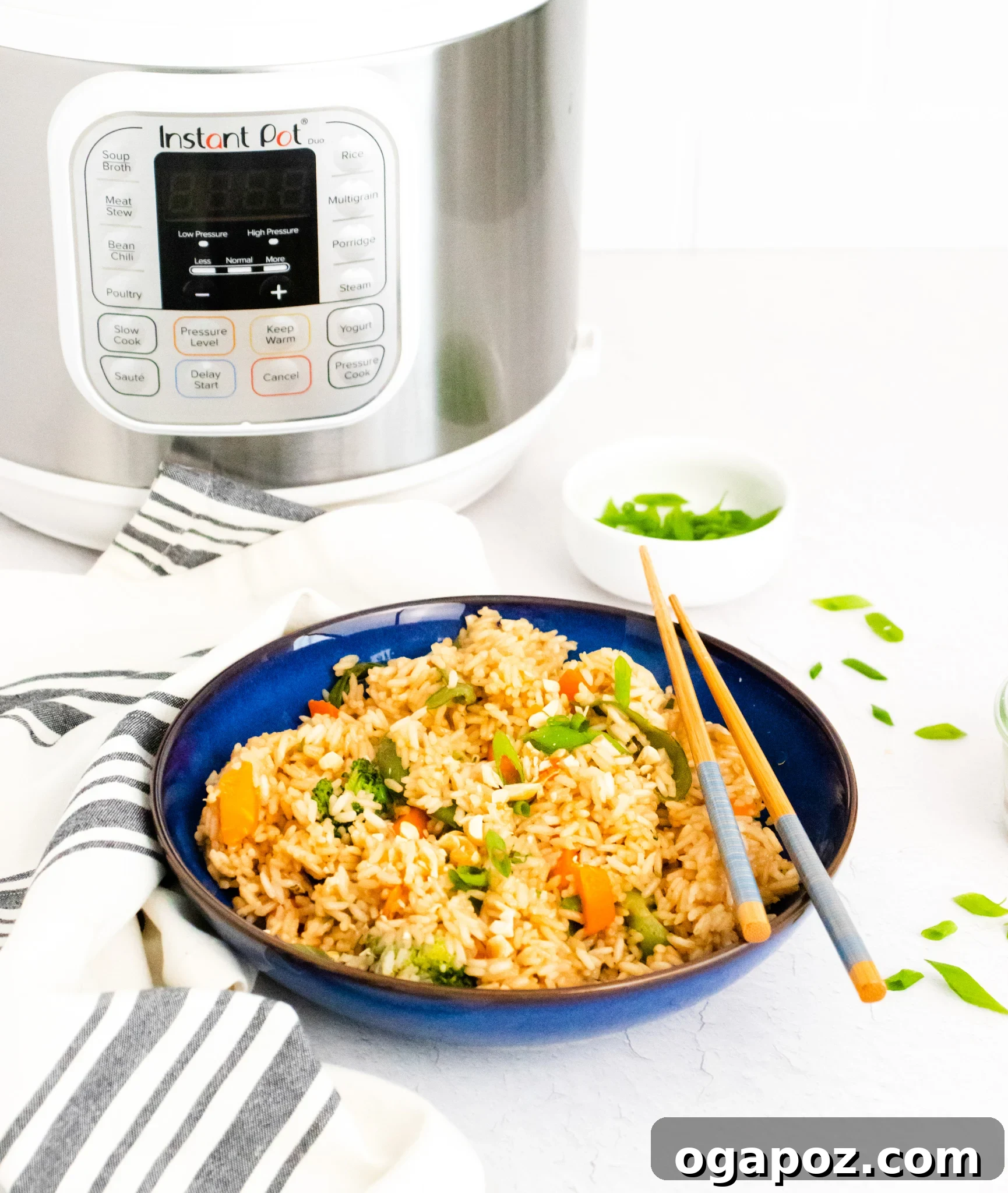 Effortless Instant Pot Fried Rice 5 Instant Pot Fried Rice served in a bowl, with the Instant Pot visible in the background.