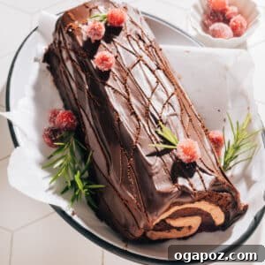 Chocolate Christmas Dessert buche de noel recipe (aka yule Log)
