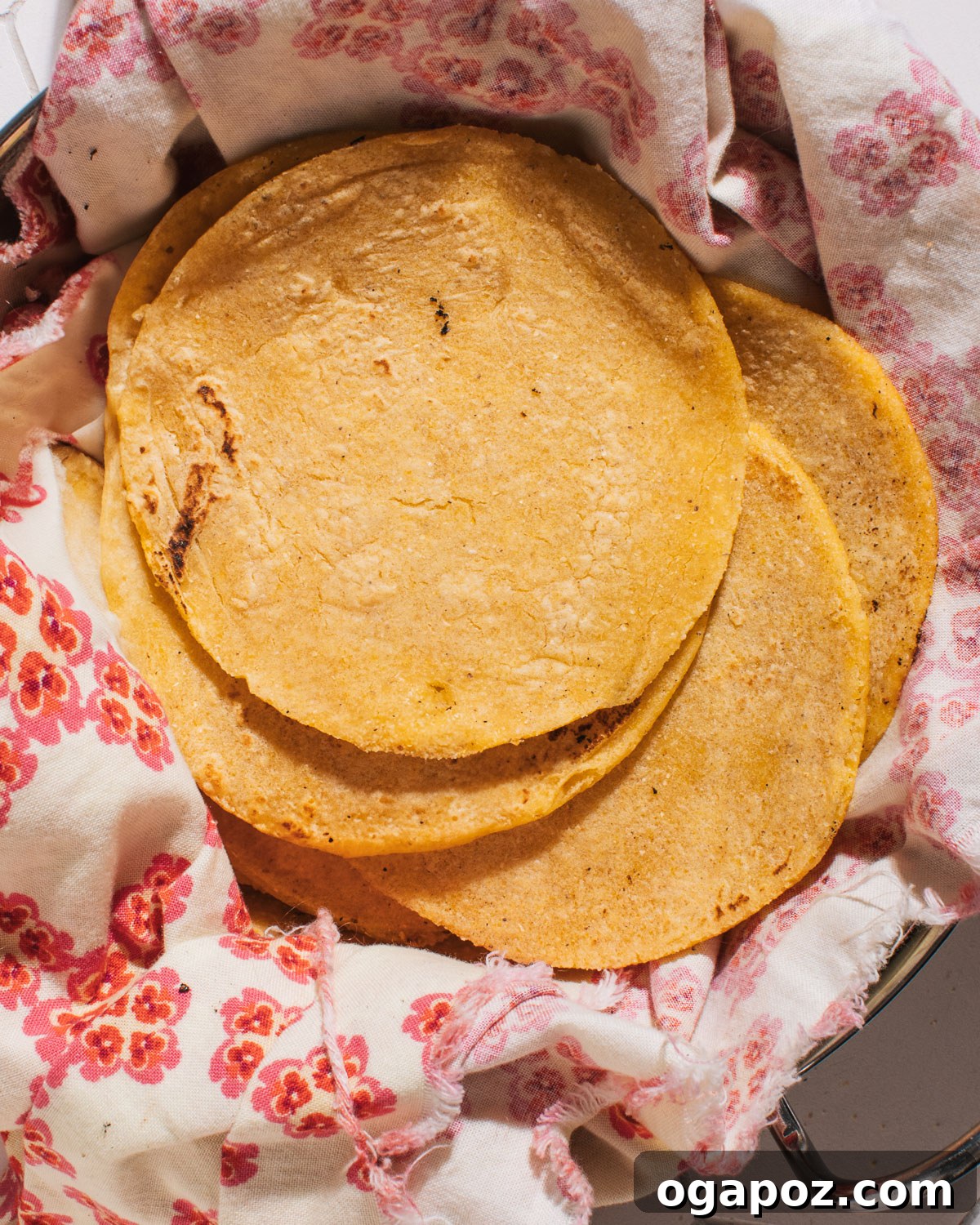 Ultra Soft and Easy Homemade Corn Tortillas Recipe 2 Freshly pressed homemade corn tortilla dough before cooking.