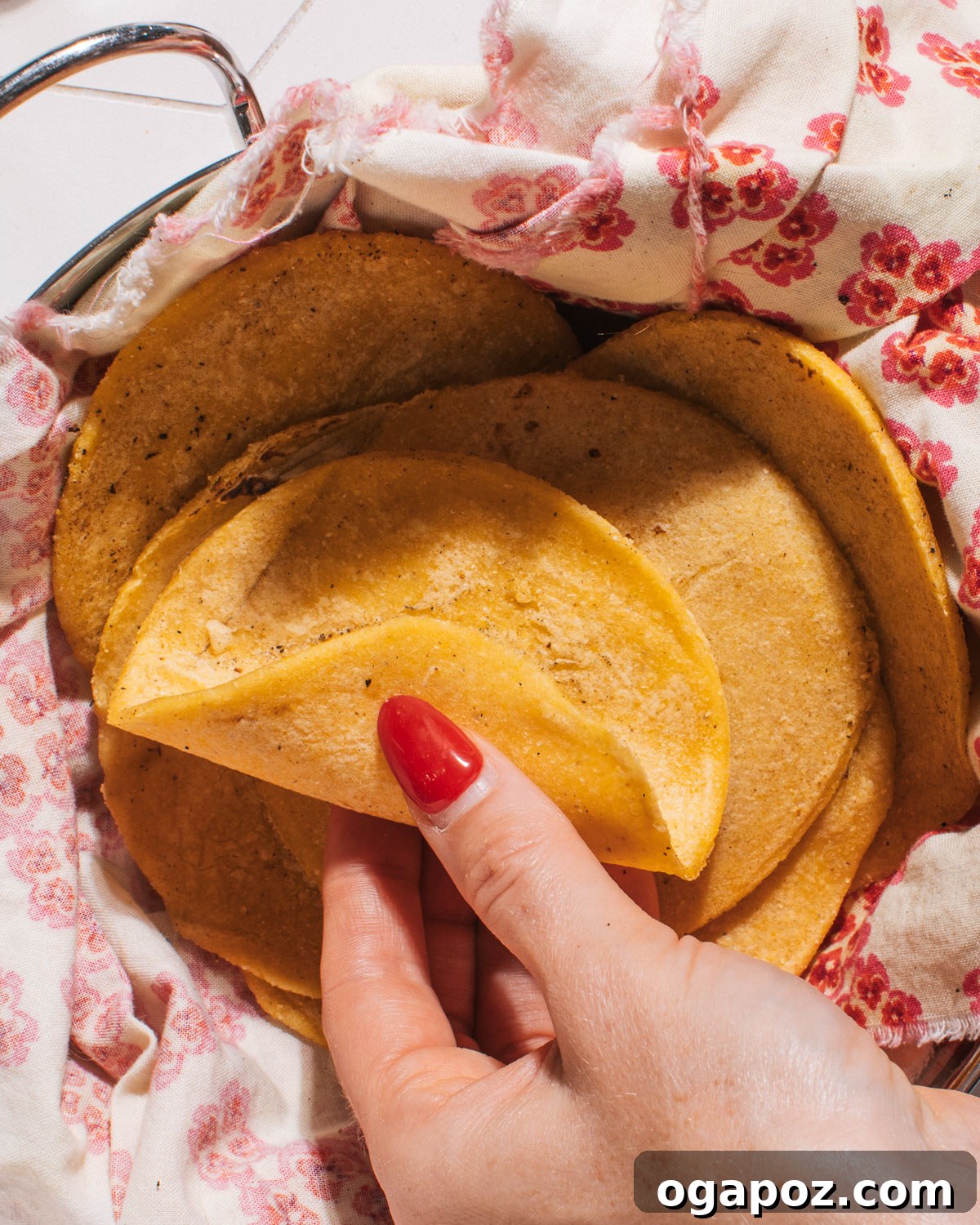 Ultra Soft and Easy Homemade Corn Tortillas Recipe 6 Homemade Corn Tortillas held in hand.